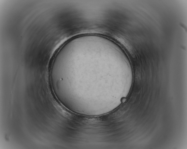 X0000090981460200708301238