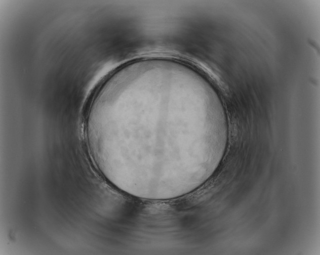 X0000090981462200708301238