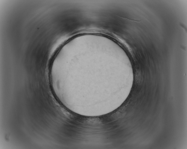X0000090981464200708301238