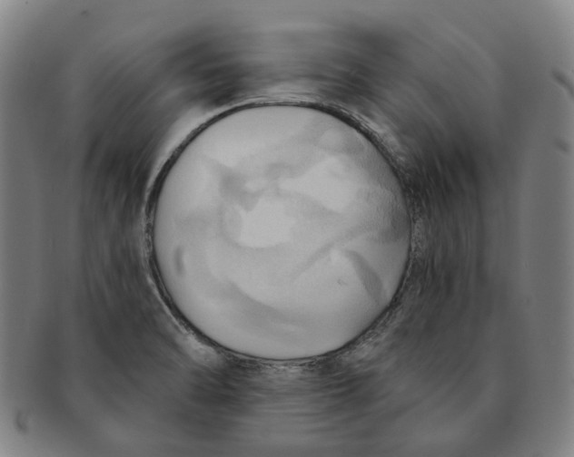 X0000090981470200708301238