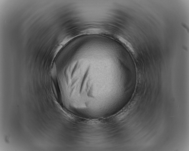 X0000090981473200708301238