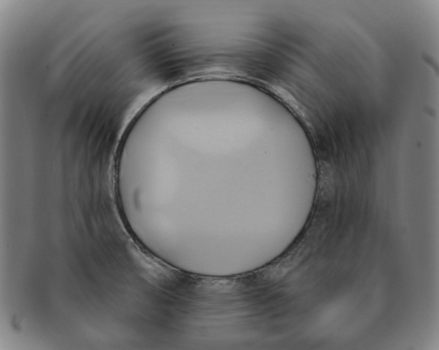 X0000090981474200708301238