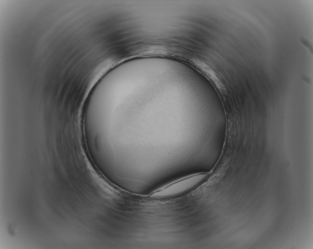 X0000090981475200708301238