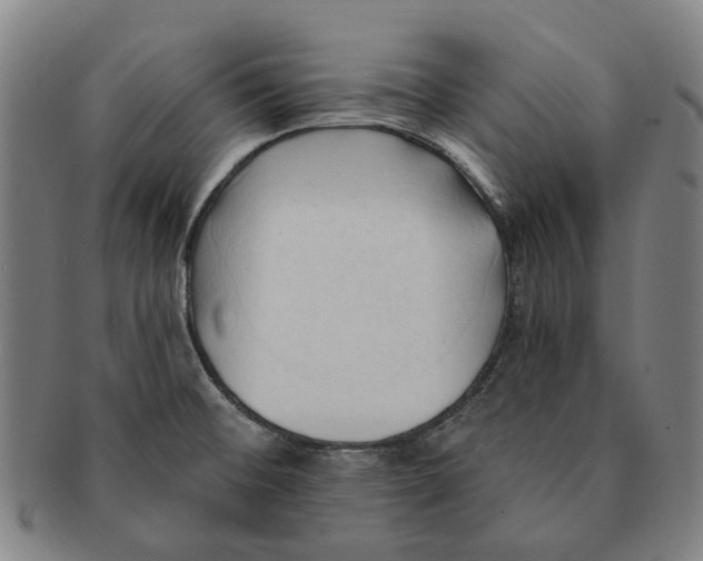 X0000090981476200708301238