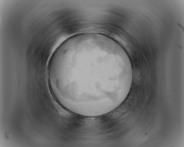X0000090981478200708301238