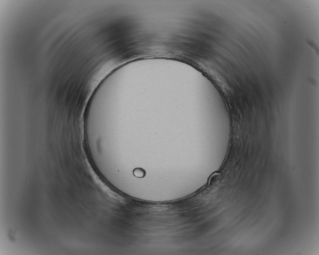 X0000090981479200708301238