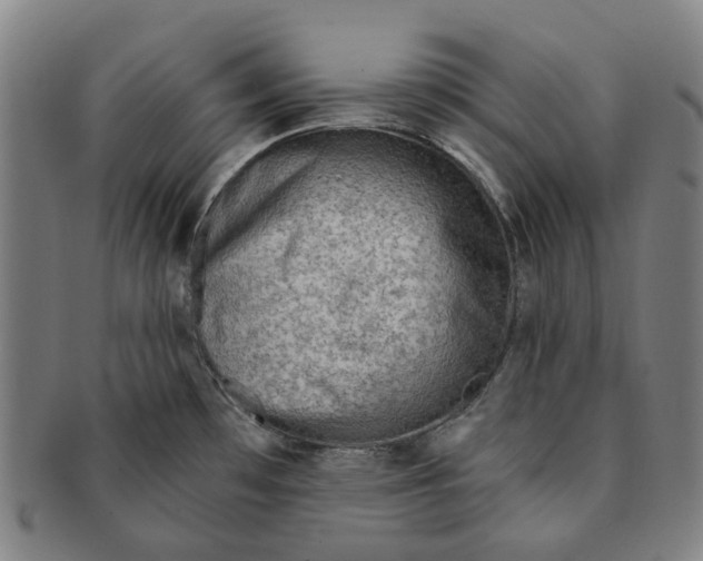 X0000090981481200708301237