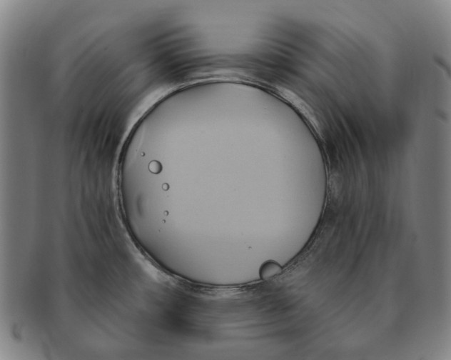 X0000090981482200708301237