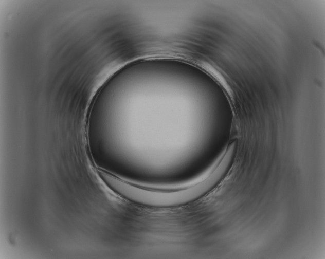 X0000090981485200708301237