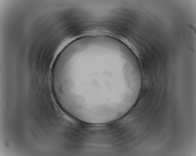 X0000090981486200708301237