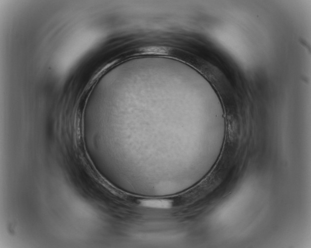X0000090981487200708301237