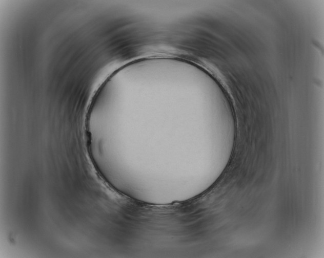 X0000090981488200708301237