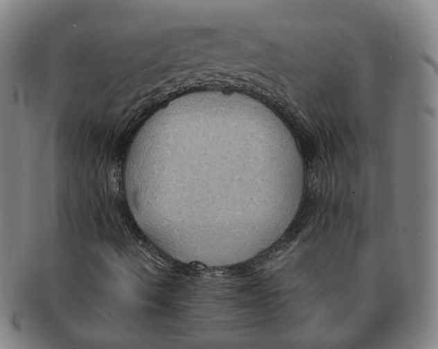 X0000090981490200708301237