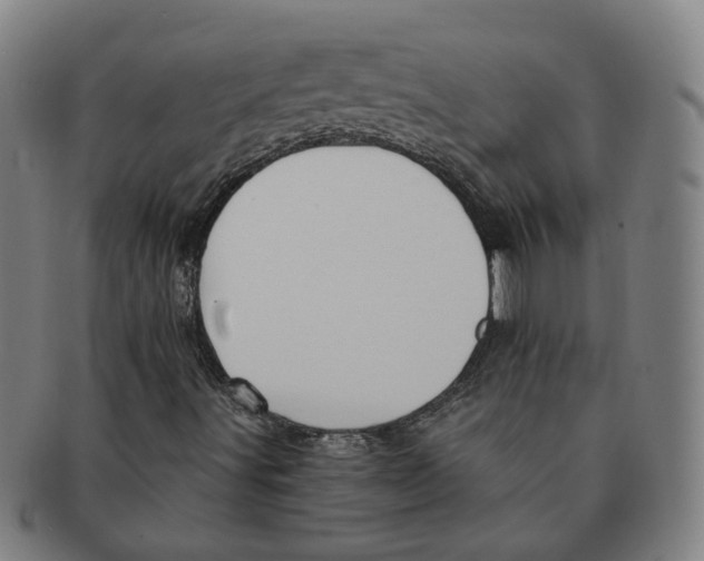 X0000090981491200708301237