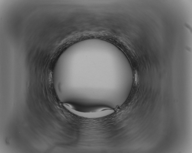 X0000090981492200708301237