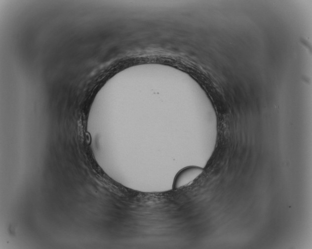 X0000090981493200708301237