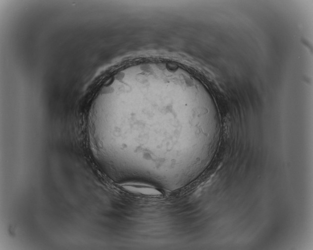 X0000090981494200708301237