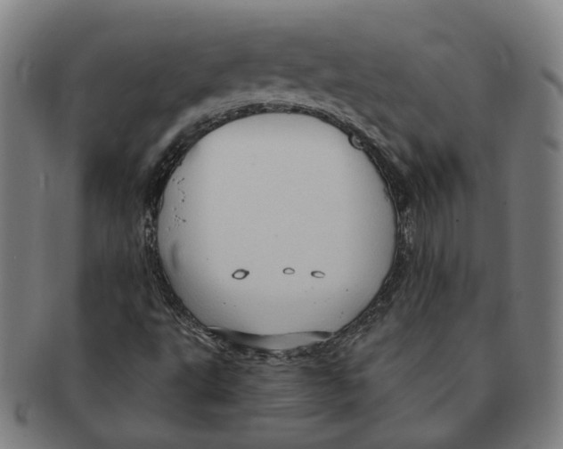 X0000090981495200708301237
