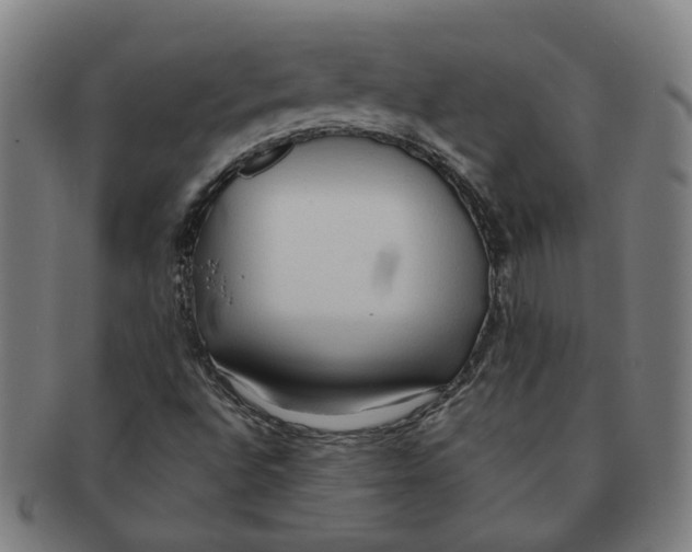 X0000090981496200708301237