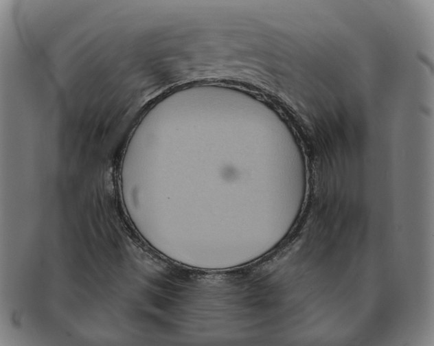 X0000090981497200708301237
