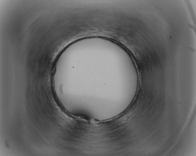 X0000090981500200708301237