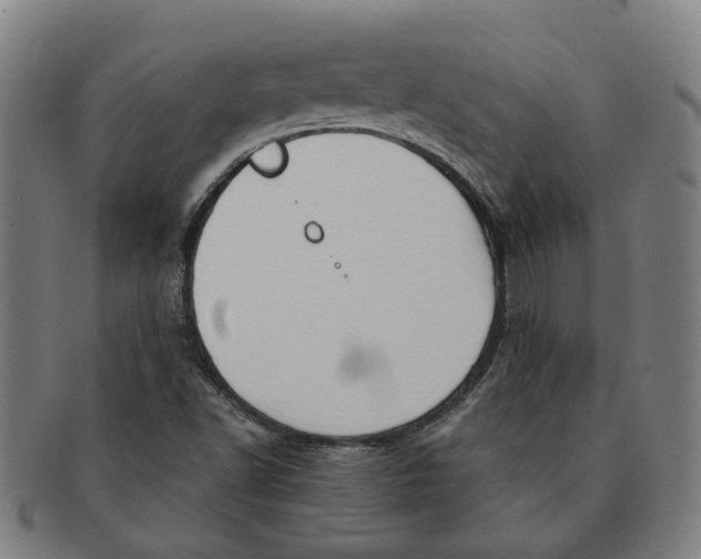 X0000090981502200708301237