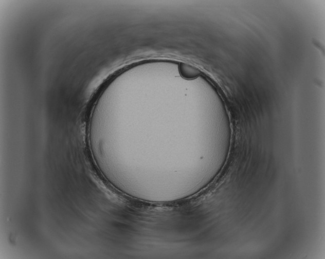 X0000090981503200708301237