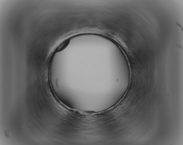X0000090981504200708301237