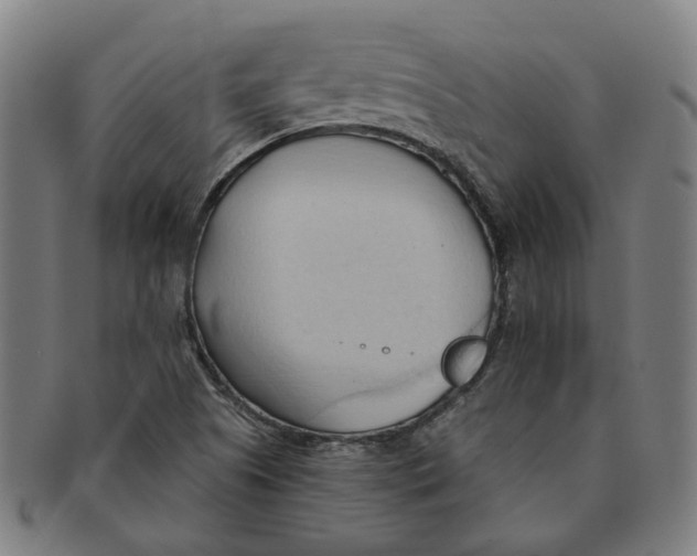 X0000090981505200708301237