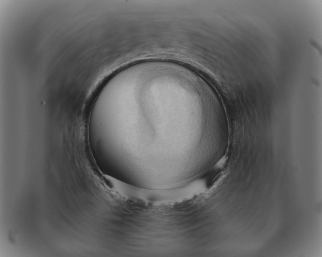 X0000090981506200708301237