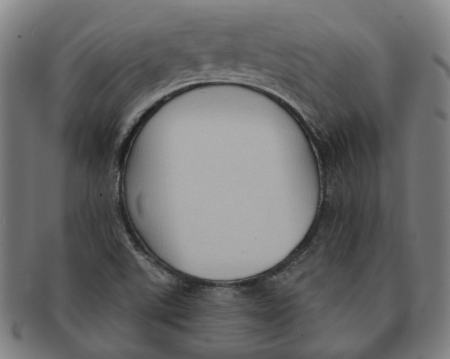 X0000090981507200708301237