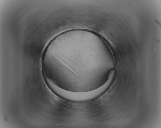 X0000090981508200708301237