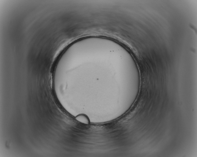 X0000090981509200708301237