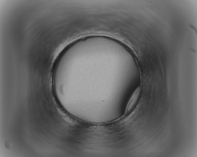 X0000090981511200708301237