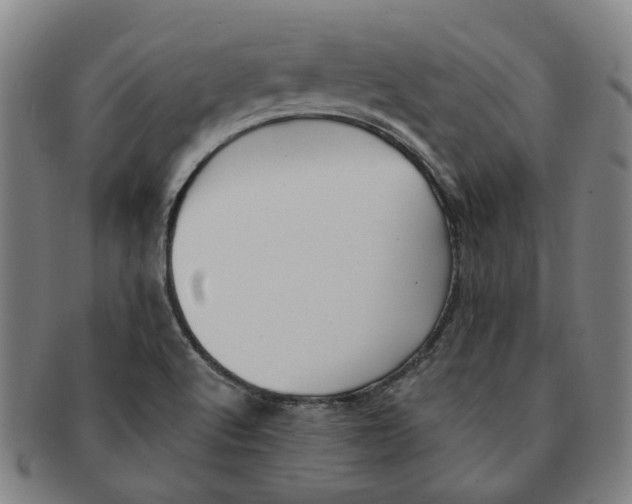X0000090981512200708301237