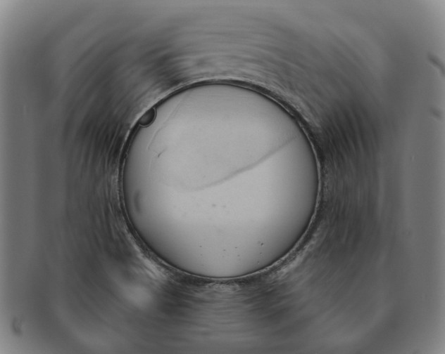 X0000090981513200708301237