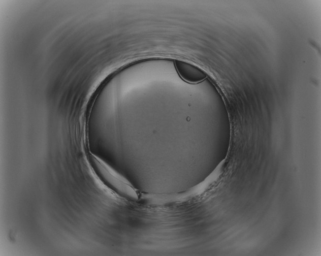 X0000090981515200708301237