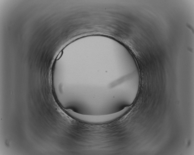 X0000090981516200708301237