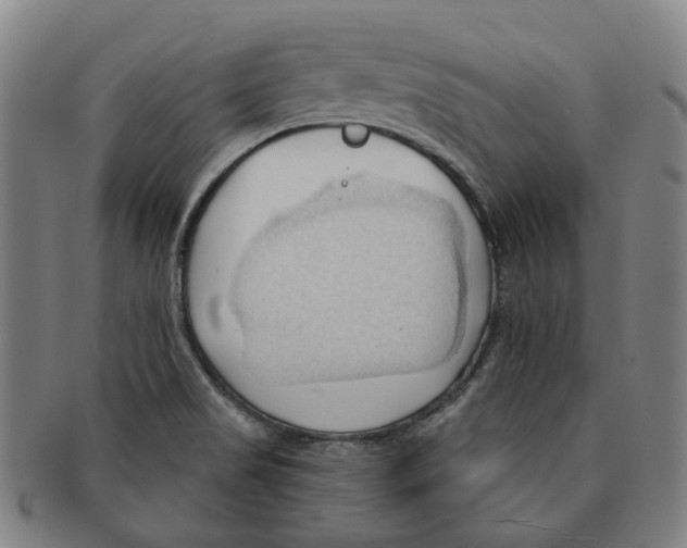 X0000090981517200708301237
