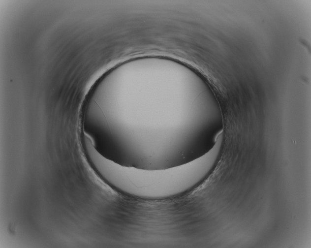X0000090981518200708301237