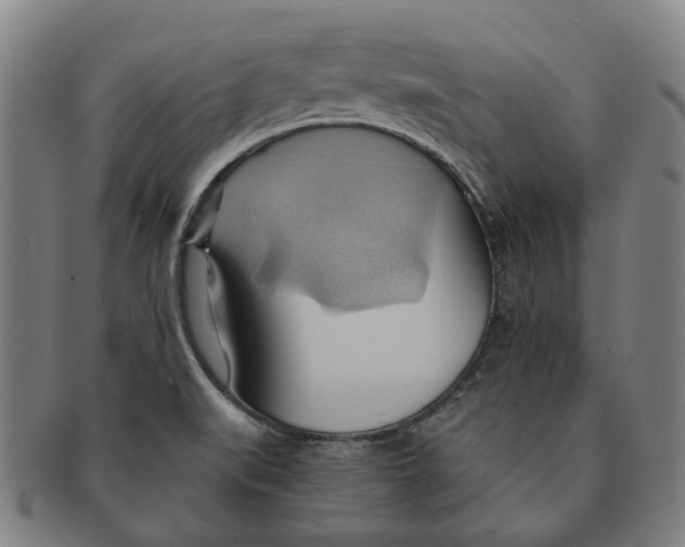 X0000090981519200708301237