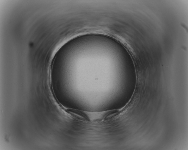 X0000090981520200708301237