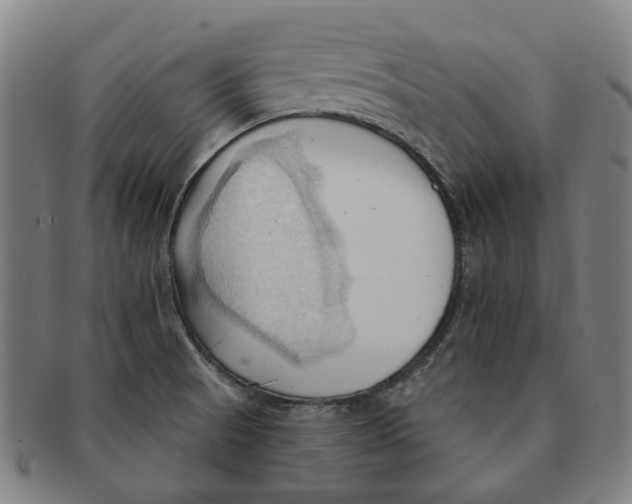 X0000090981521200708301237
