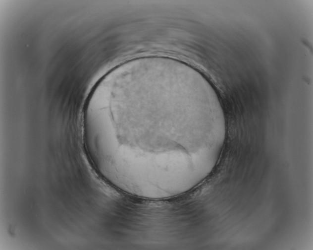 X0000090981522200708301237