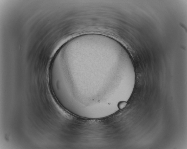 X0000090981523200708301237