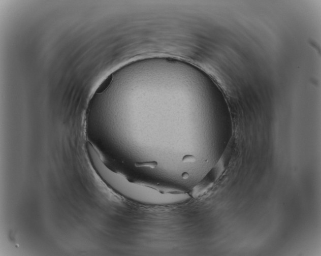 X0000090981524200708301237