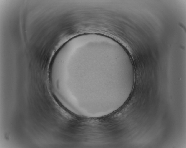 X0000090981525200708301237
