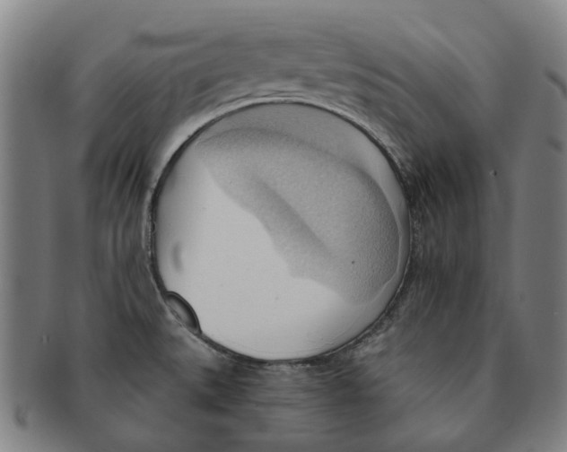 X0000090981527200708301237