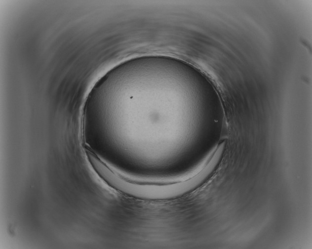 X0000090981528200708301237