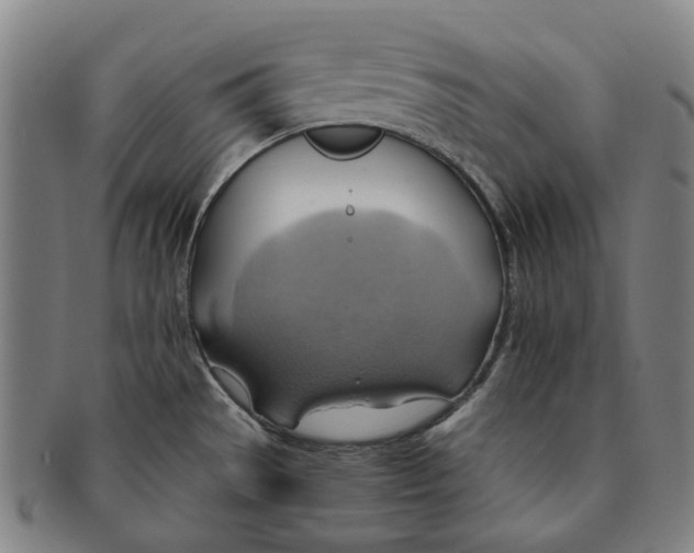 X0000090981529200708301237